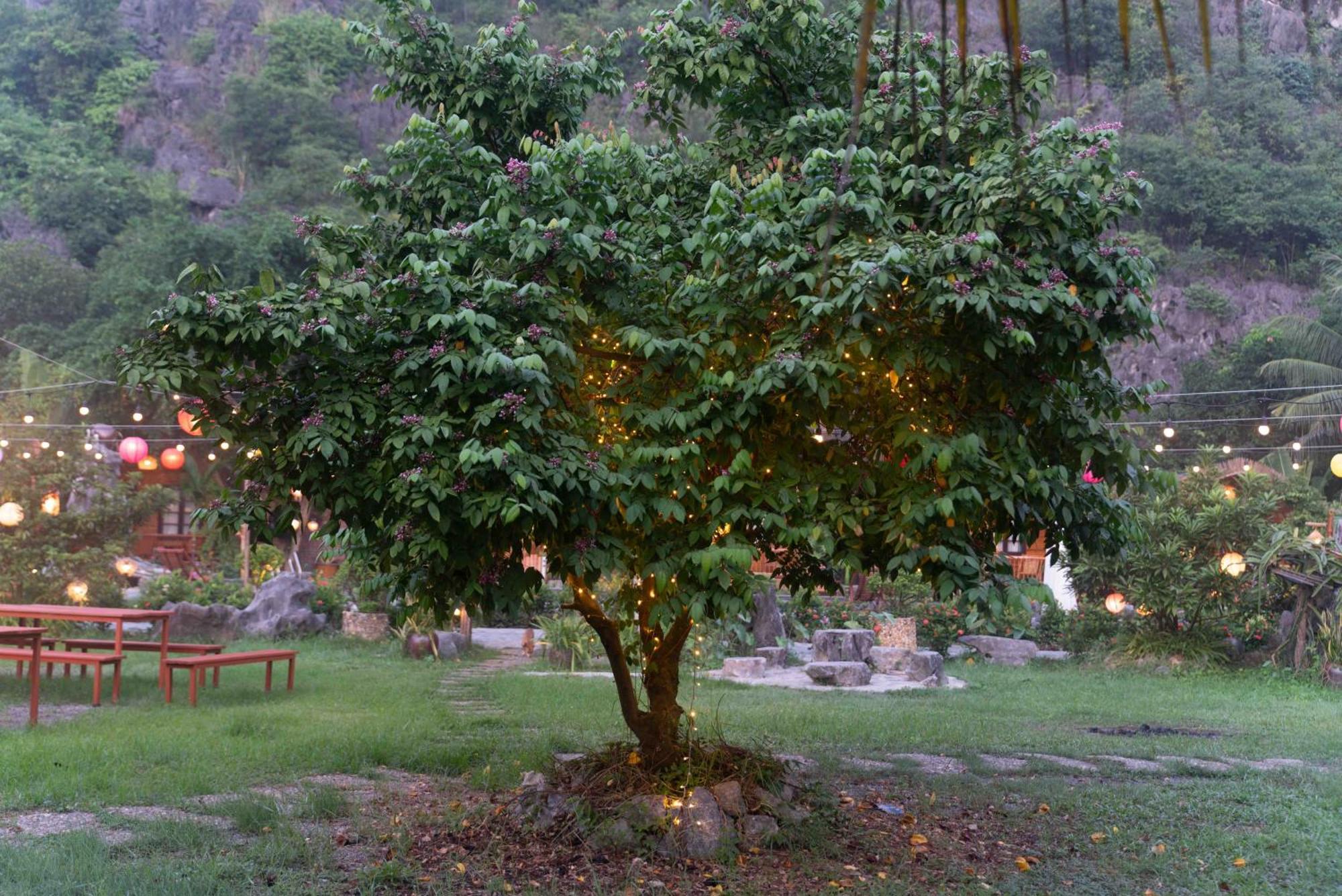 The Goat Boutique Resort Ninh Binh Eksteriør bilde